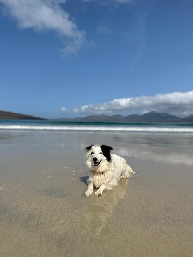 Kinnoull House Near Stornoway Hot-Tub Sauna Pet Friendly Garrabost Extérieur photo